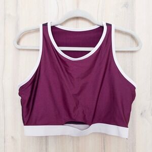Fabletics Womens Sports Bra Size L Burgundy Colorblock Athleisure Padded Sporty